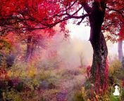 30 MinutesRelaxing Meditation Music • Inspiring Music, Sleepand calm anxiety (Red leaves) @432Hz from my sis sleep out boobe