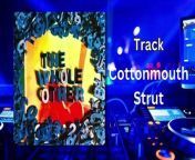 No Copyrights, stock music for youtube videos&#60;br/&#62;Track Title : Cottonmouth Strut&#60;br/&#62;Artist : The Whole Other&#60;br/&#62;Genre :R&amp;B &amp; Soul&#60;br/&#62;Mood : Dark