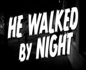 Tráiler de He Walked by Night dirigida por Alfred L. Werker y Anthony Mann.