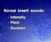 05 Normal Breath Sounds from beby normal delyvary video