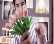 Ishq Murshid Last Episode 30 Teaser Promo Review By MR NOMAN ALEEM _ HUM TV DRAMA 2023 from mr hindi film