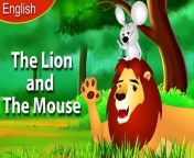The Lion and the Mouse in English | English Fairy Tales from bones tales the manor