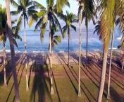 جمال البحر والشاطئ والنخيل - The beauty of the sea_ beach and palms(720P_HD) from جمال عيونك