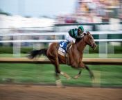 150th Kentucky Derby: By the Betting Business Numbers from cancer blood test numbers