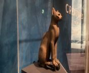 Creatures of the Nile explores the position animals held in ancient Egyptian and Sudanese society and culture.