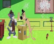 Tom and Jerry has produced numerous episodes over the years, each featuring different scenarios and antics in the eternal chase between Tom the cat and Jerry the mouse. Is there a particular episode you&#39;re interested in?