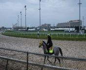Undefeated Japanese Horse Aimed at Kentucky Derby Win from ntt indycar racing