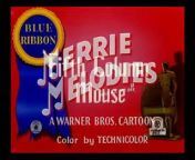 Fifth Column Mouse - Looney Tunes from change column order matrix power bi