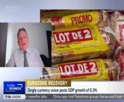 Marc Ostwald speaks to CGTN Europe about the Eurozone and China's economy from porke papi europe