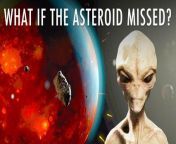 What If the Asteroid Never Killed The Dinosaurs? from www what video com