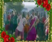 #bollywood #music #song #south #trending #youtube #movie #hindi