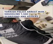 Turkish police said Sunday that an American man was arrested smuggling 1,500 scorpions and spiders out of the country.&#60;br/&#62;&#60;br/&#62;Seized at Istanbul Airport, the suspect is said to be a curator for a leading American natural history museum.&#60;br/&#62; &#60;br/&#62; Officials stated that the man was arrested for smuggling species endemic to the country and its antivenom making capabilities.&#60;br/&#62; &#60;br/&#62;&#92;