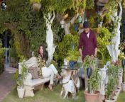Ishq Murshid Tragic End & Episode 27 Teaser Promo Review By MR NOMAN ALEEM - HUM TV DRAMA 2023 from ishq bapa