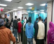 International Doctors Visit Al-Aqsa Martyrs Hospital from cedc international oborniki