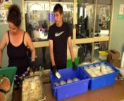 Each Easter, The Bill Crews Foundation in Sydney puts on a lunch to feed the homeless, a way of expressing their faith in a practical and generous way.