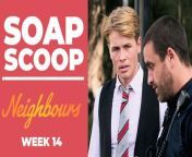 Coming up on Neighbours... Andrew carries out a petty revenge against Byron.