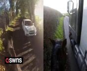 Shocking videos show vehicles driving dangerously fast and close to horse riders.&#60;br/&#62;&#60;br/&#62;The footage was released by the the British Horse Society (BHS) as they launch its &#39;Dead Slow&#39; campaign.&#60;br/&#62;&#60;br/&#62;It aims to educate drivers on the best etiquette to abide by when driving past horses.&#60;br/&#62;&#60;br/&#62;This comes after statistics show that horses are being killed on the roads at an&#92;