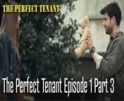 The Perfect Tenant Episode 1 &#60;br/&#62;&#60;br/&#62;Mona is a young woman who grew up in an orphanage. She works for an Internet newspaper and has been reporting on the house arson cases that happened in different parts of Istanbul recently. Mona sees that the landlord with whom she was already fighting has put her belongings on the doorstep, and she is now homeless. She is forced to accept the offer of Yakup, whom she has just met, to become a tenant in her house, which was later divided into two by a strange architecture, as a temporary solution. However, on the first day Mona moved into the apartment, she noticed that there were strange things going on in the Yuva Apartment.&#60;br/&#62;&#60;br/&#62;Cast: Dilan Çiçek Deniz, Serkay Tütüncü, Bennu Yıldırımlar, Melisa Döngel, Özlem Tokaslan, Ruhi Sarı, Rüçhan Çalışkur, &#60;br/&#62;Beyti Engin, Ümmü Putgül, Umut Kurt, Deniz Cengiz, Hasan Şahintürk&#60;br/&#62;&#60;br/&#62;Credits:&#60;br/&#62;Screenplay: Nermin Yildirim&#60;br/&#62;Director: Yusuf Pirhasan&#60;br/&#62;Production Company: MF Yapım&#60;br/&#62;Producer: Asena Bülbüloğlu&#60;br/&#62;&#60;br/&#62;#theperfecttenant #DilanÇiçekDeniz #SerkanTütüncü