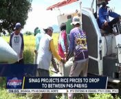 Rice prices dropped by as much as P3/KG &#60;br/&#62;