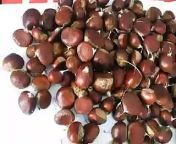 Welcome to SAMRIOGLU www.samrioglu.com&#60;br/&#62;&#60;br/&#62;HAZELNUTS, DRIED FRUITS &amp; CHESTNUTS EXPORTTOTHEWHOLE WORLD &#60;br/&#62;&#60;br/&#62;Company was founded by Sadettin Samripglu in 1940, is one of old manufacturer and trader companies that specializes in Hazelnuts. SAMRIOGLU Family has been manufacturing and exporting Akcakoca quality Natural Hazelnuts for three generation, had the honor to be chosen supplier of world&#39;s giant Chocolate industries; Nestlé SA and Kraft Foods, Inc. (Previous Jacob Suchard AG) in 1990s.&#60;br/&#62;SAMRIO%u011ELU is dynamic company run by professional new generation, very active in foreign trade, supply customers all around the world also withHazelnuts ( Raw, Processed and Organic ), Chestnuts , Dried Fruits and other Nuts (both Organic and Conventional).We are very specialized also in these product categories.&#60;br/&#62;Our innovative approach to business, strong and old cooperation with our serious manufacturer partners who all are leaders in their fields and presenting unbeatable advantages to Global Buyers have enabled SAMRIOGLU to become highly respectedsupplier namein Hazelnuts and Dried Fruits sector. We are quality-oriented company, apply the rules of HACCP and ISO 9001:2000 for the best quality products in accordance with the InternationalFood Standards. Not only guaranteed top product quality, we offeryou also multi-level reliability, friendly business relations, accurate service and timely delivery.