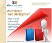 http://www.bluesharksolution.com/ is an attractive and appealing eCommerce website Development Company offers the quick and easy eCommerce solutions through best eCommerce web design and development services. Take a look at Our Client List , Testimonials and the eCommerce features which we offer.
