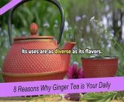 8 Reasons Why Ginger Tea is Your Daily Healing E from stir tea coffeecom