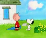 Swiping the blanket Compilation - Snoopy & Linus - The Charlie Brown and Snoopy Show from chum charlie sumon song com sos gp video india inc nanak polo