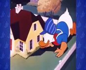 Funny Animals Cartoons - Donald Duck with Mickey mouse, Chip and Dale BEST COLLECTION 2016 from mouse tuffy