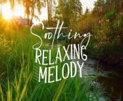 Relaxing Nature Sounds - Calm Atmosphere for Meditation, Stress Relief, Sleep Aid from meditation cc