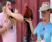 Whether it&#39;s a human or a bird, anybody named &#39;Romeo&#39; is bound for fame! &#60;br/&#62;&#60;br/&#62;In this jaw-dropping video, Patrick, also known as &#39;Duff,&#39; shows the world that he wasn&#39;t lying when he claimed that his black-breasted red rooster, Romeo, holds the record in the U.S. for the longest tail in that specific color. &#60;br/&#62;&#60;br/&#62;In the crowd to witness this historic moment are incredibly adorable five-week-old kittens. &#60;br/&#62;&#60;br/&#62;&#92;