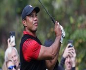 Tiger Woods Oddsmakers Biggest Liability at the Masters from tiger design image
