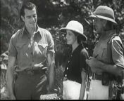 Tarzan and the Green Goddess (1938) from tarzan my tarzan aja sikha doon tojhe pyar kaise video song