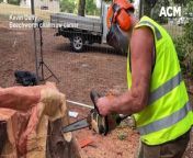 Beechworth chainsaw artist Kevin Duffy from cartel chainsaw beaheading