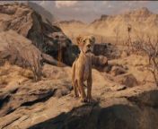 Mufasa: The Lion King (2024)&#60;br/&#62;https://www.filmaffinity.com/es/film285949.html