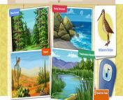 Dinosaur Train Backyard Theropods Cartoon Animation PBS Kids Game Play Walkthrough [Full E from 08 train বোনের স