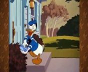 The Best Chip and Dale Donald Duck Complete Playlist 2016. part 2 2 from rabbi dale bd