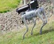 The Robot Dog With A Flamethrower Thermonator from robot k