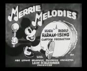 Lady Play Your Mandolin - LOONEY TUNES CARTOONS from le song mp3 caller tune gp code olpo premer golpo