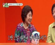 Mom’s Diary – My Ugly Duckling (2016) Episode 391 English Subtitles