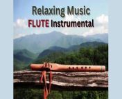 Ranjhaa Song Relaxing Flute Instrumental &#124; Soothing Music &#124; Mind Relaxing Flute Instrumental Music &#124;&#60;br/&#62;&#60;br/&#62;&#92;