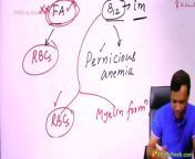 Haematology \ \drugs affecting cells of blood \ \ pharmacology \ \MBBS 2nd year from cvs pharmacology mcq