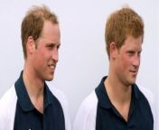 Prince Harry and Prince William inherited different sums due to their separate situations from different touch album